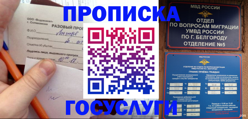 временная регистрация адрес в Сунже